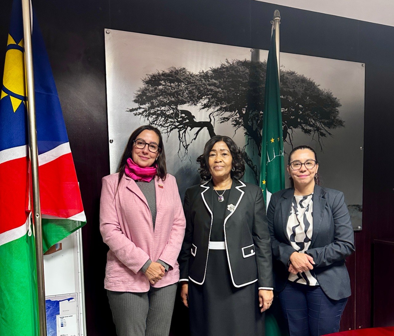 Venezuela y Namibia fortalecen cooperación agrícola, pesquera y de gestión hídrica